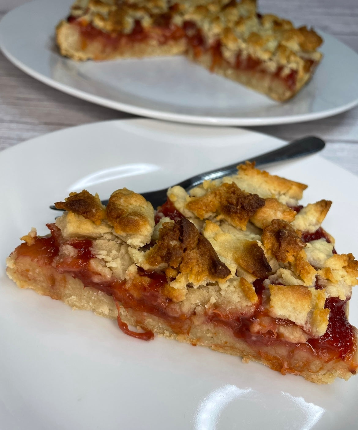 PLANT BASED ELECTRIC RECIPES - EBOOK