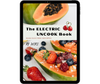 THE ELECTRIC UNCOOK BOOK - RAW PLANT BASED RECIPES EBOOK