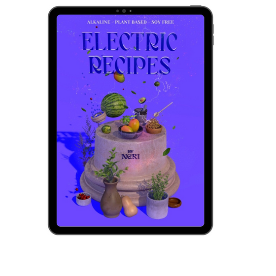 PLANT BASED ELECTRIC RECIPES - EBOOK